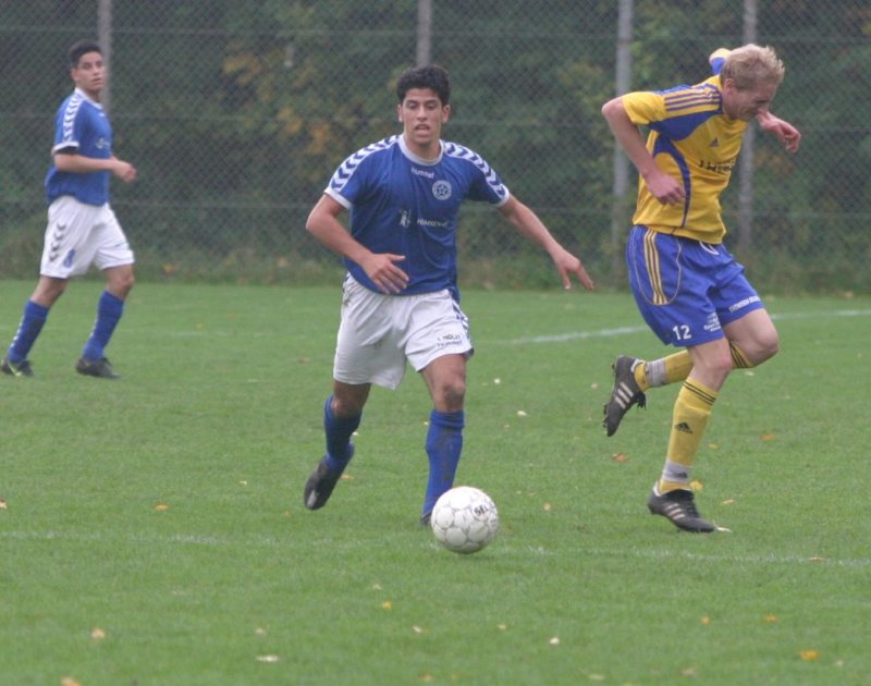 jyllandsserienaiatranbjergfundergf430845.jpg