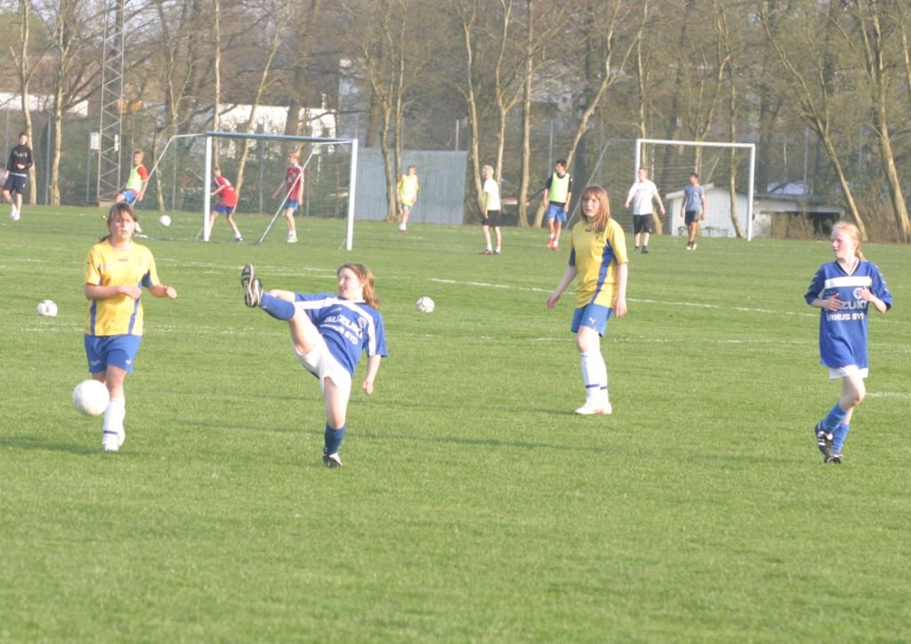 skanderborgaiatranbjergu13p0926.jpg