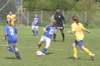 skovbakkenikaiatranbjerg2u13p330937_small.jpg