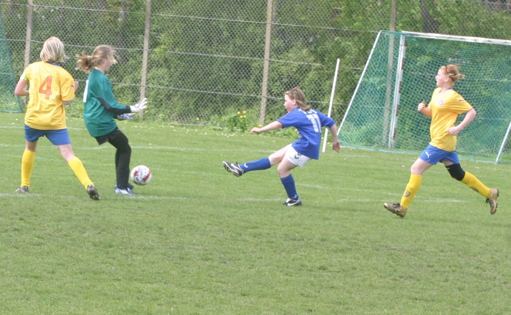 skovbakkenikaiatranbjerg2u13p330949.jpg