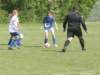 u13pigeraiatranbjergbmi0826_small.jpg