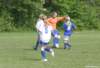 u13pigeraiatranbjergbmi0840_small.jpg