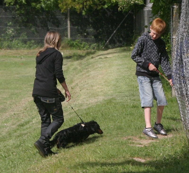 dyredag0826.jpg