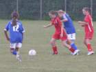 u14pigeraiatranbjergasa0830_small.jpg