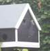fuglar0710_small.jpg