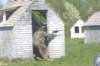 paintball0847_small.jpg