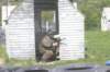 paintball0849_small.jpg