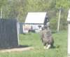 paintball0854_small.jpg