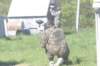 paintball0855_small.jpg