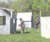 paintball0857_small.jpg