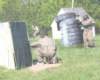 paintball0868_small.jpg