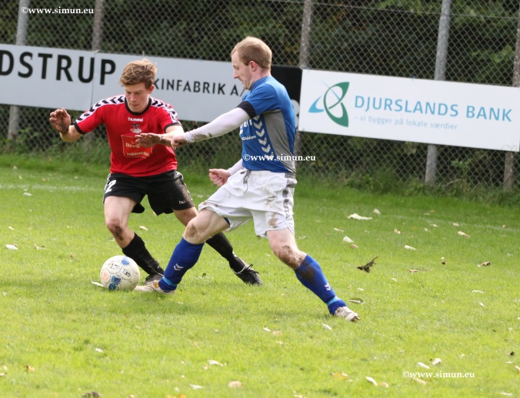 serie3aiatranbjerghorningif641017.jpg