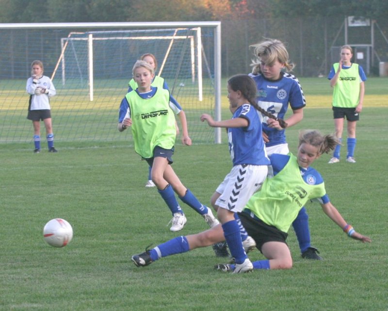 u13pc27aiatranbjergodderigf1340822.jpg