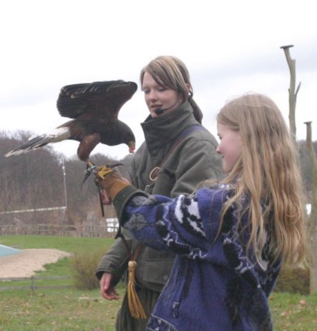 ebeltoft_safari78.jpg