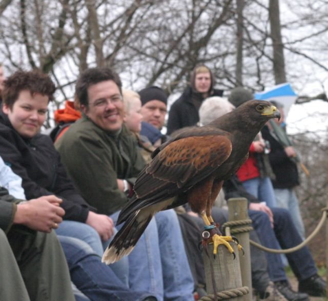 ebeltoft_safari84.jpg