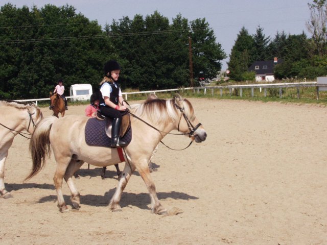 pb011103.jpg