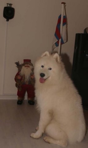 mynddanmark1.jpg