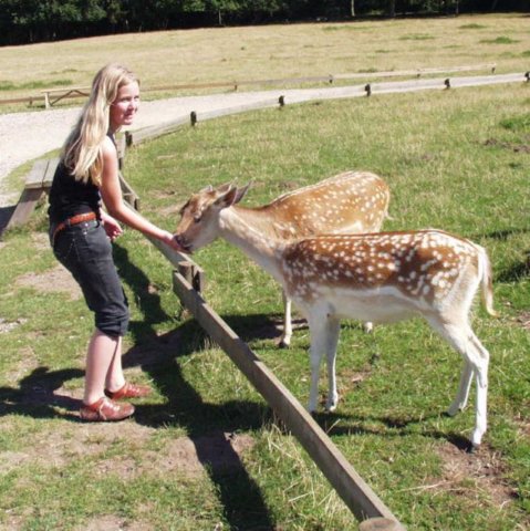 skandinaviskdyrepark0751.jpg