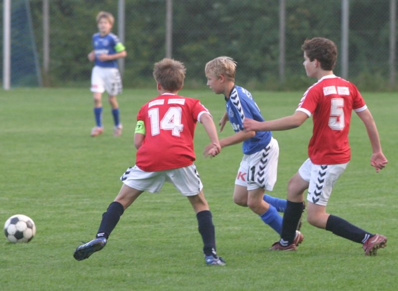 u13d1aiatranbjergbrabrandif11081.jpg