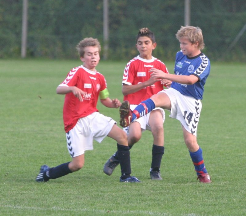 u13d1aiatranbjergbrabrandif11088.jpg